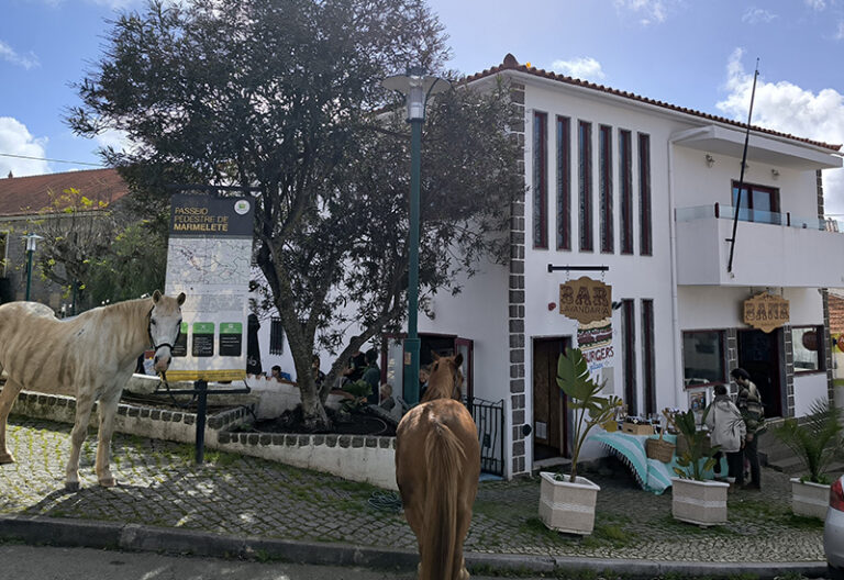 Tomorrow-algarve-magazine-community-news-algarve-blog-may-2025-the-bank-marmelete-shop-bar-community-live-music-7