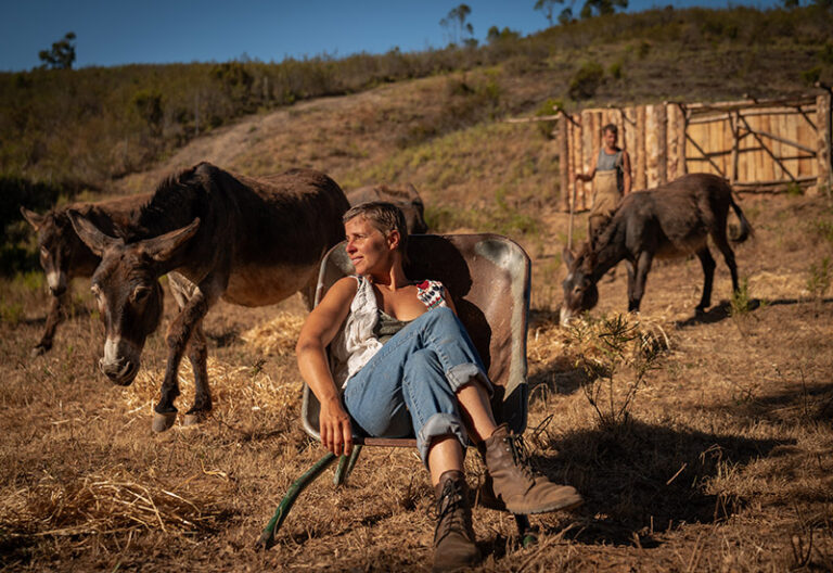 Tomorrow-algarve-magazine-september-2025-Steffi-Bao-Aljezur-donkey-sanctuary-asinotherapy-animal-rescue-4