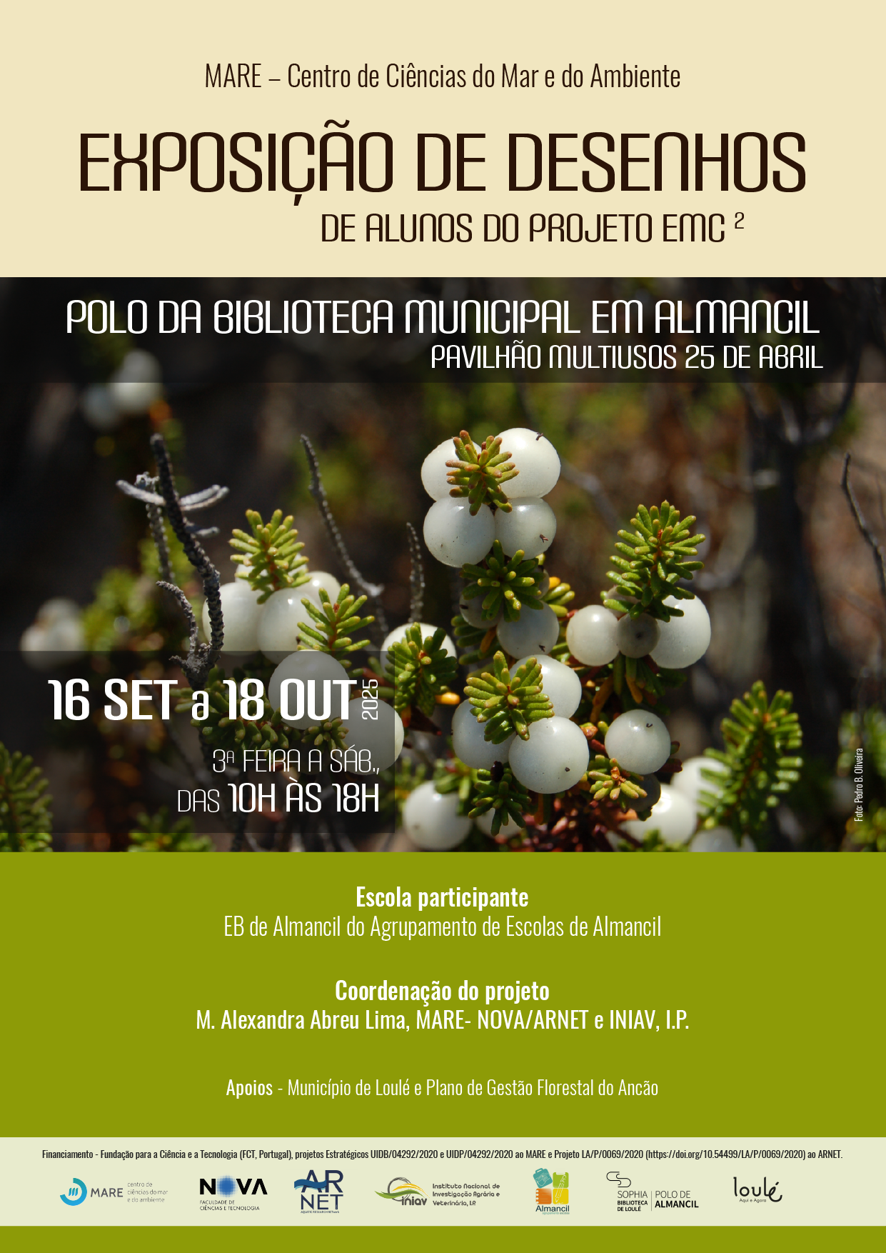 Botanical white pearls from Ancão