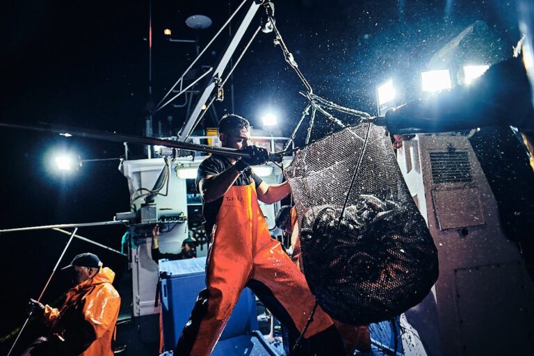 O Sem fim da pesca ao cerco 3