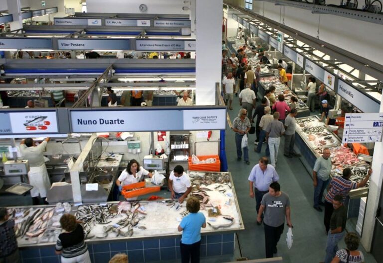 Vista geral do setor de pescado