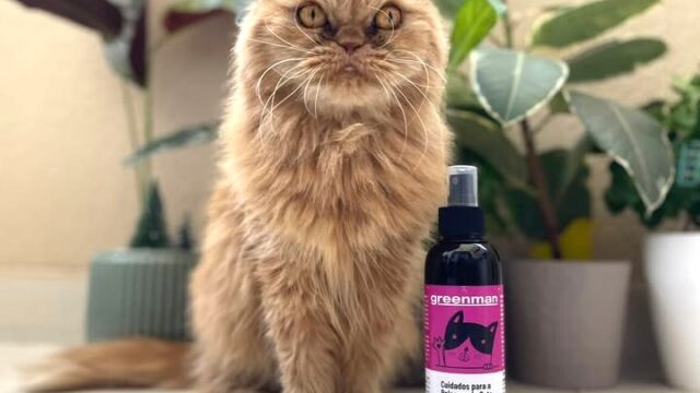 542915635_1666279160713217_2059399364099197631_n