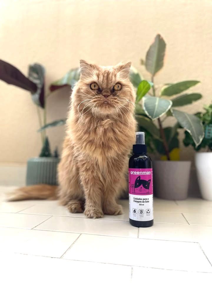 542915635_1666279160713217_2059399364099197631_n