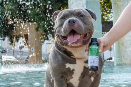 Screenshot-2025-08-22-141641