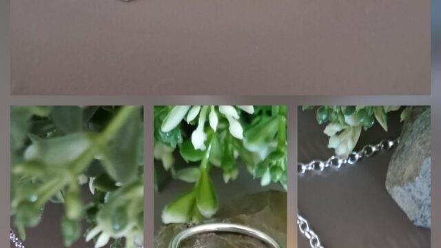 inbound8408495925005307121