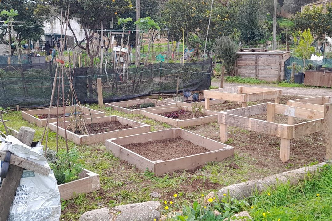 tomorrow-algarve-magazine-february-2026-organic-gardening-1