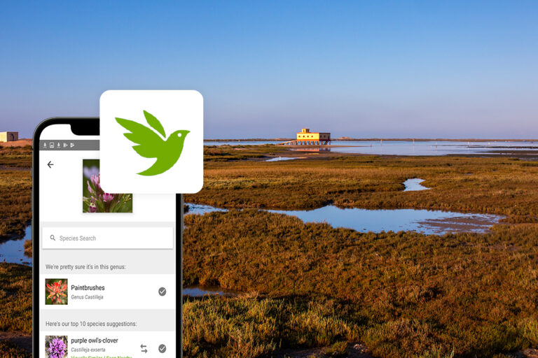 tomorrow-algarve-magazine-february-2026-wetlands-zoo-lagos