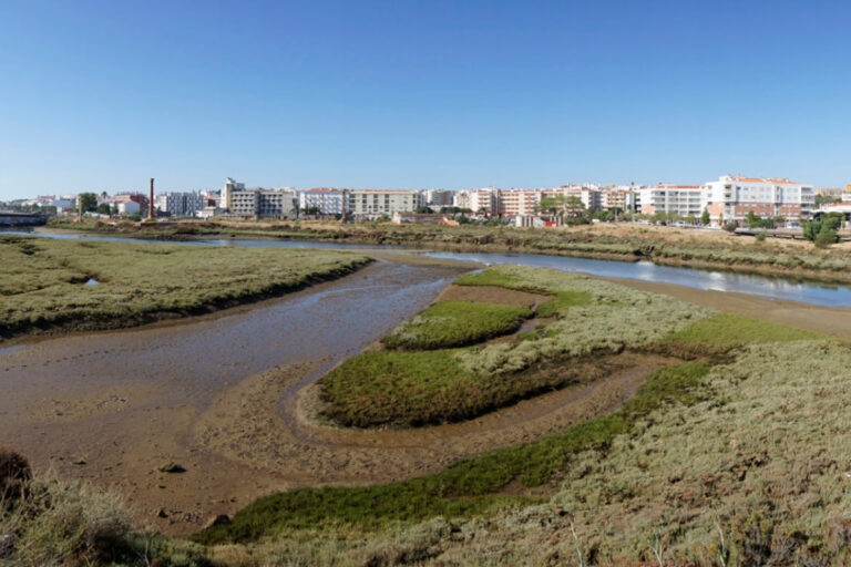 Dia Zonas Húmidas_ Lagos