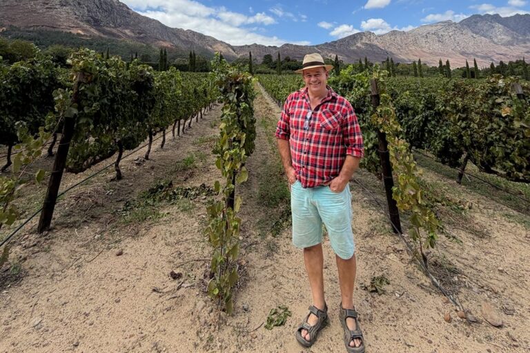 AL vineyard PORT
