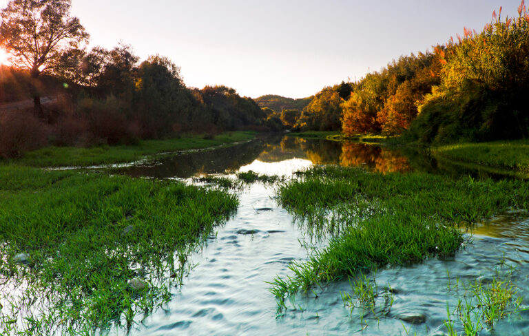 interior-river