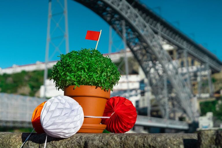 tomorrow-algarve-magazine-june-2026-porto-sao-joao-festival-popular-saints-plastic-hammer-tradition-night-celebration-portugal