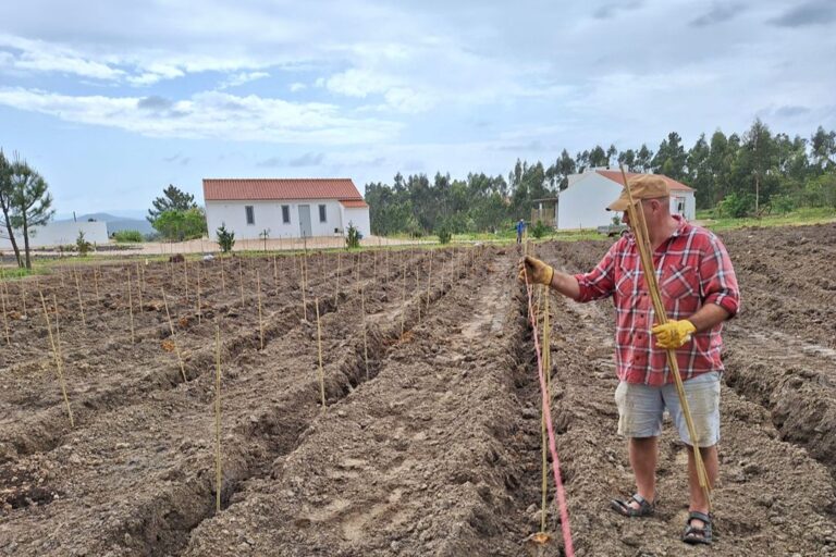 tomorrow-algarve-magazine-september-2026-alastair-leithead-accidental-vineyard-wine-vale-das-estrelas-odemira-2